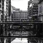 Black & White Luts